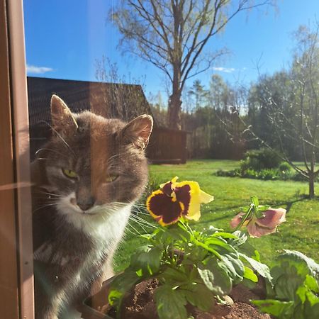 Korgemaee Puhketalu Pension Eoste Buitenkant foto